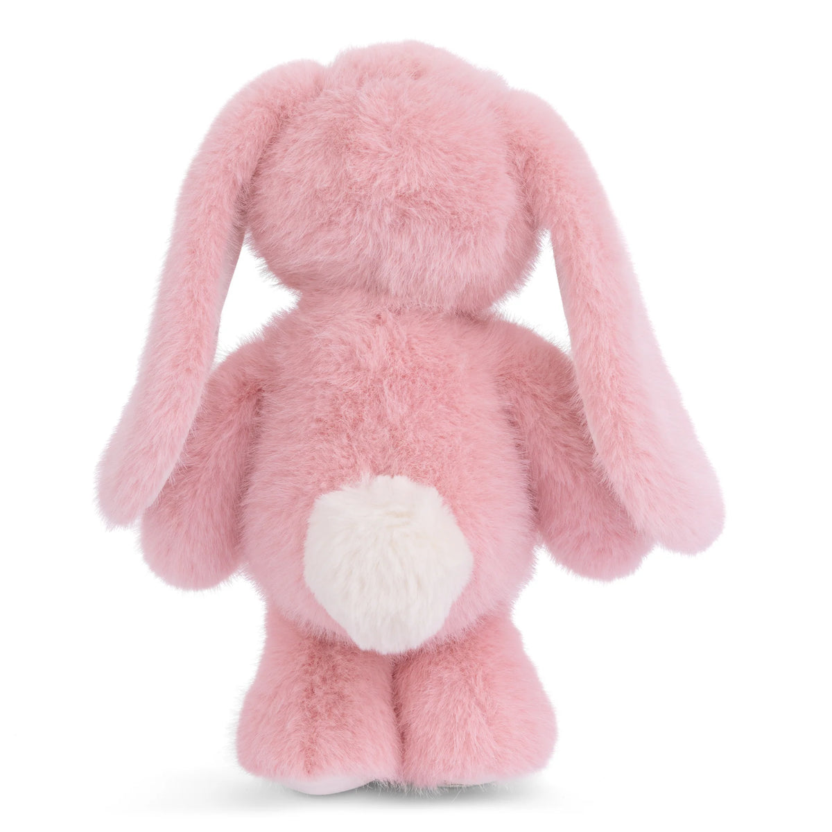 Jumpy Bunny