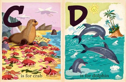 O is for Ocean Book