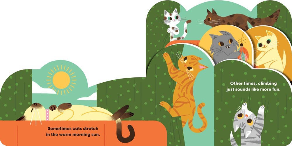 "Some Cats" Board Book
