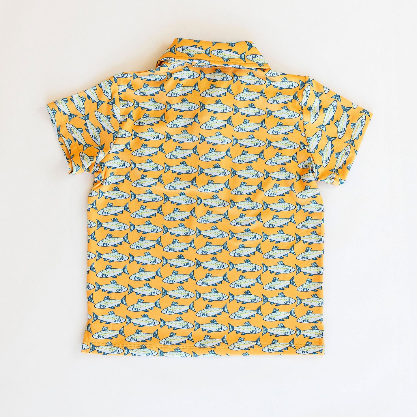 Kyle Polo (Amalfi Fish)