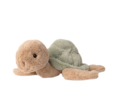 Sandy Turtle