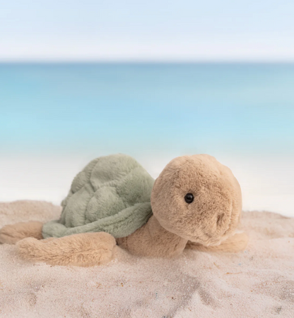 Sandy Turtle