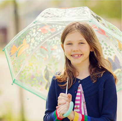 Transparent Umbrella (Flowers & Birds)