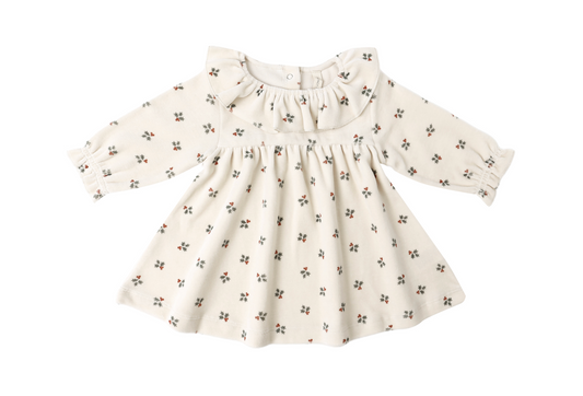 Velour Baby Dress