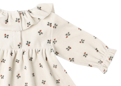 Velour Baby Dress