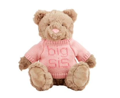 Big Sis Teddy Bear