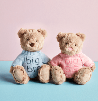 Big Sis Teddy Bear
