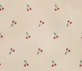 Long Sleeve Bib (Cherries)