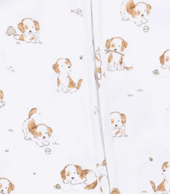 Explorer 2 Way Zipper Footie