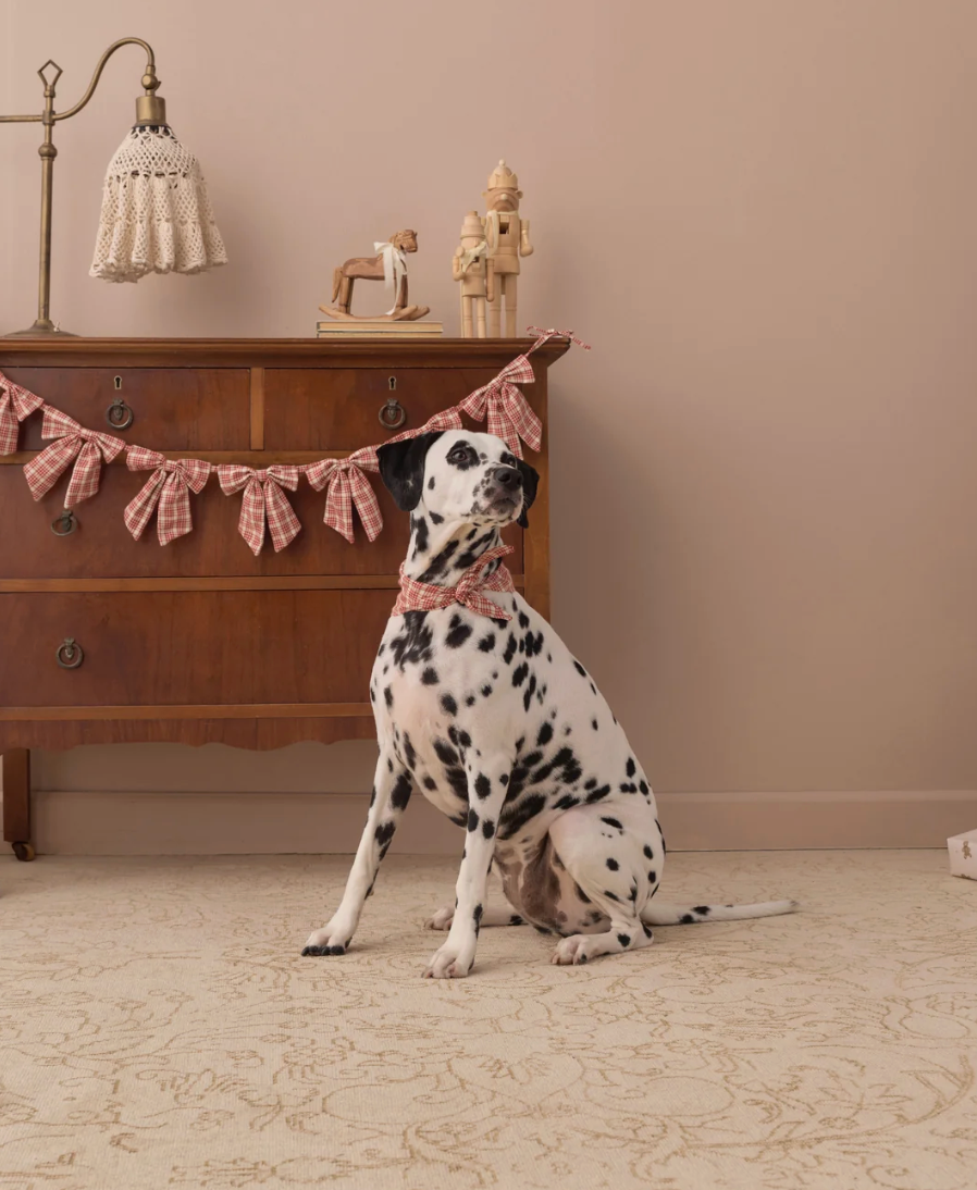 Dog Bandana