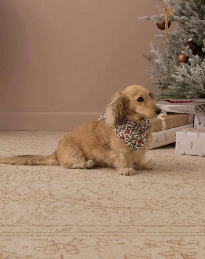 Dog Bandana