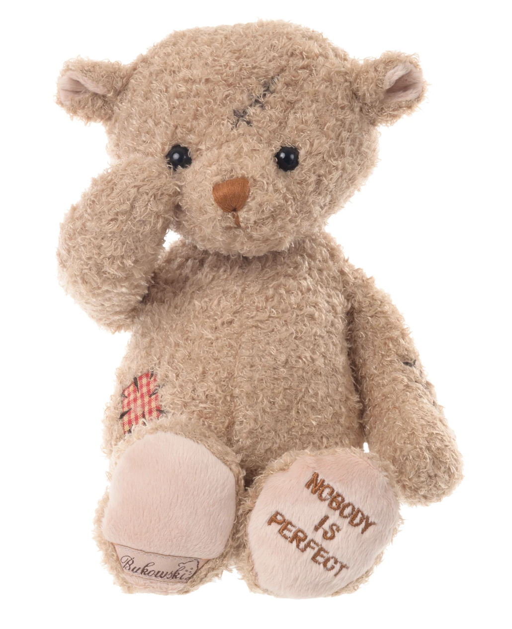 Nobody is Perfect Bear