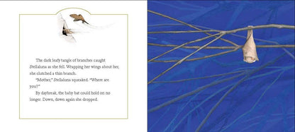 Stellaluna Board Book : Janell Cannon