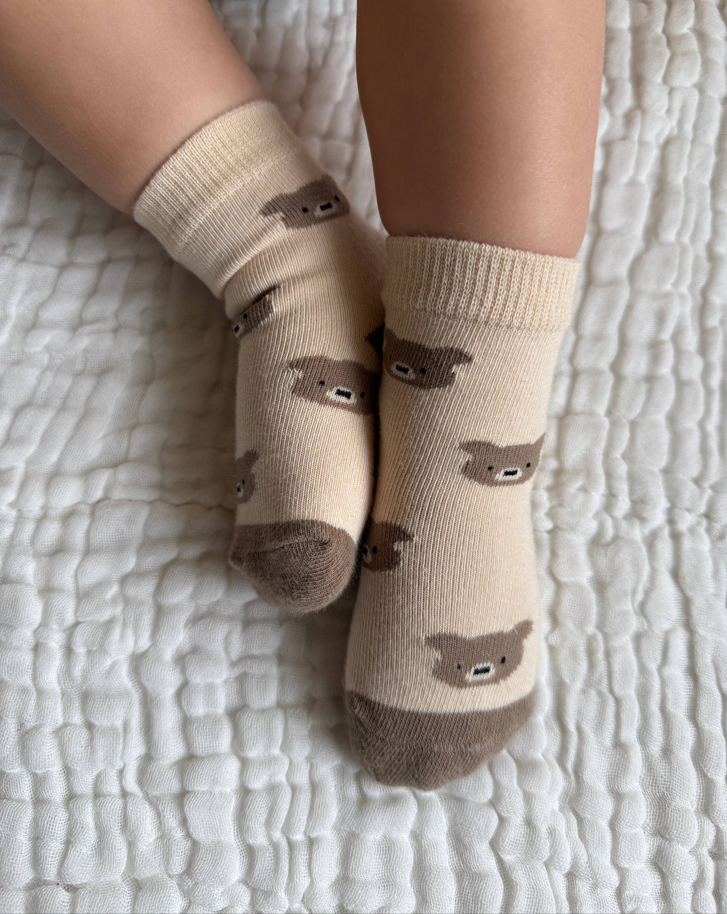 Little Bear Baby Socks