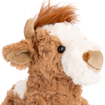 Madison Cow