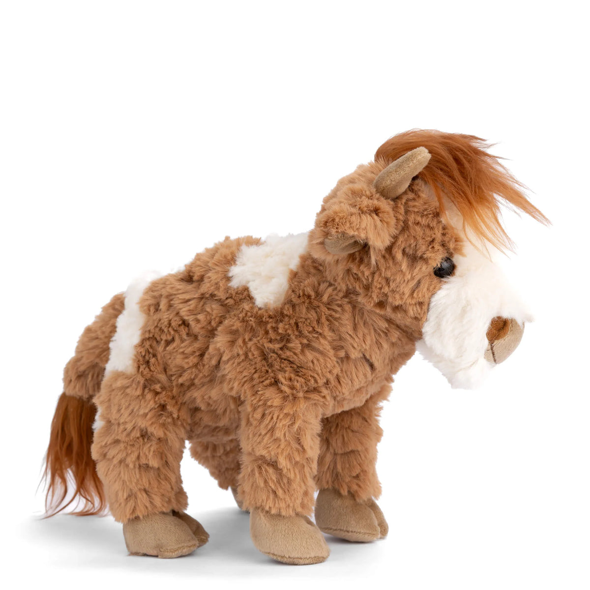 Madison Cow