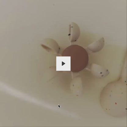 Sunshine Suction Spinner